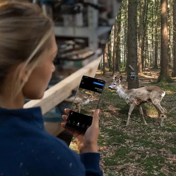 Fotopułapka Zeiss Secacam 1 zdalny dostęp z aplikacji